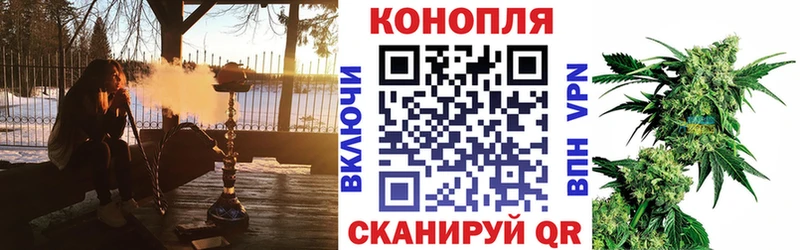 Купить  Никольское  Бошки марихуана планчик 